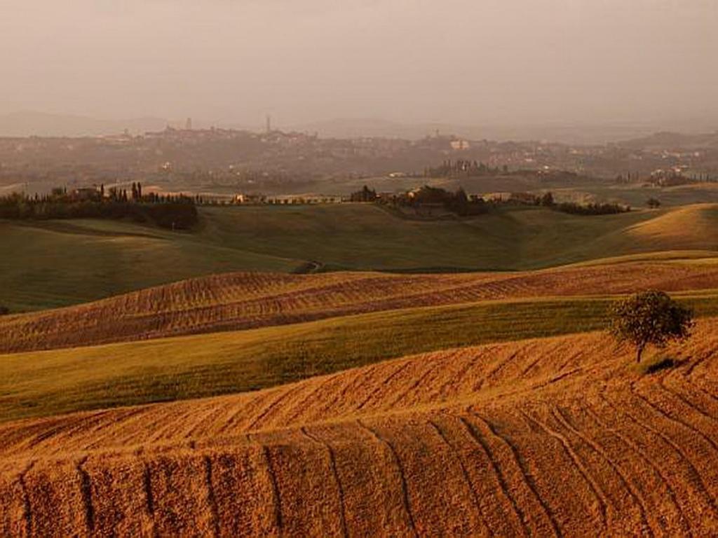 코르사노 Castello Di Grotti 게스트하우스 외부 사진