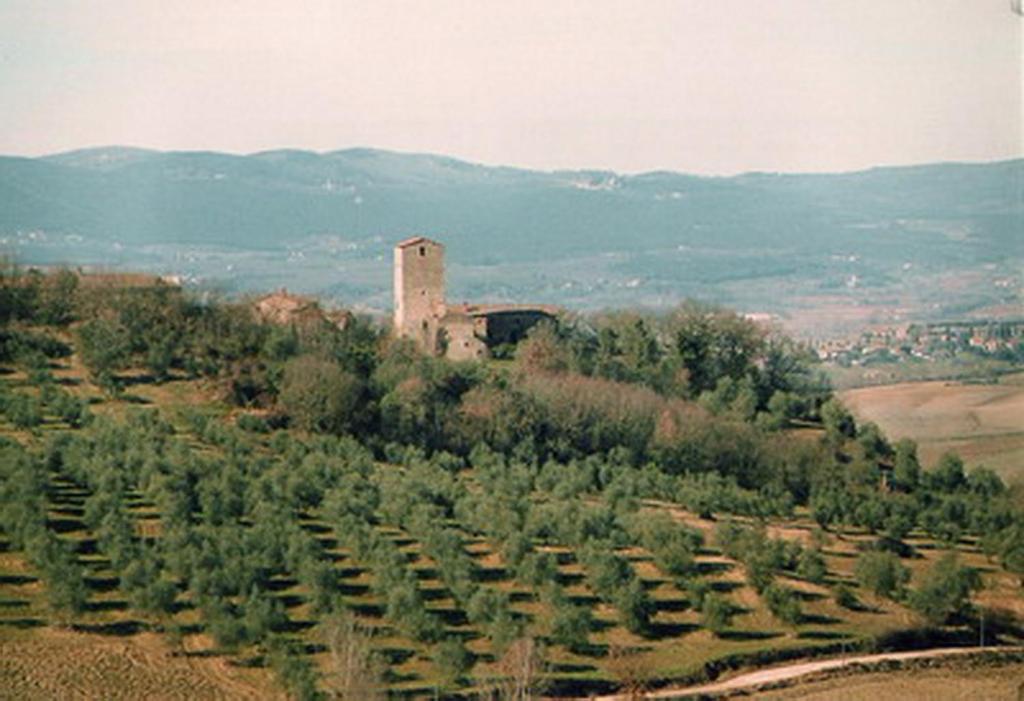 코르사노 Castello Di Grotti 게스트하우스 객실 사진